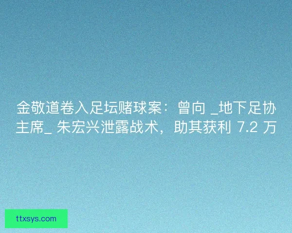 金敬道卷入足坛赌球案：曾向 _地下足协主席_ 朱宏兴泄露战术，助其获利 7.2 万