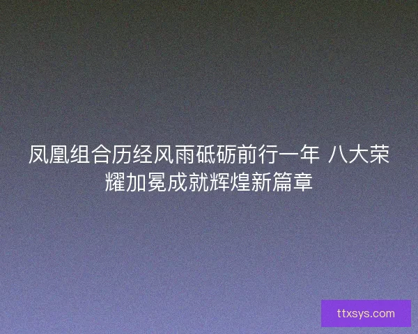 凤凰组合历经风雨砥砺前行一年 八大荣耀加冕成就辉煌新篇章