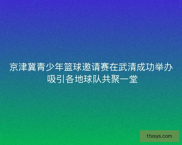 京津冀青少年篮球邀请赛在武清成功举办 吸引各地球队共聚一堂 京津冀青少年篮球邀请赛在武清成功举办 吸引各地球队共聚一堂